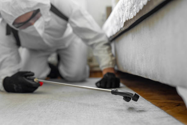 Professional Cockroach Control technician working in Stedman, NC